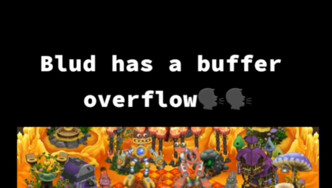 Buffer Overflow meme idk